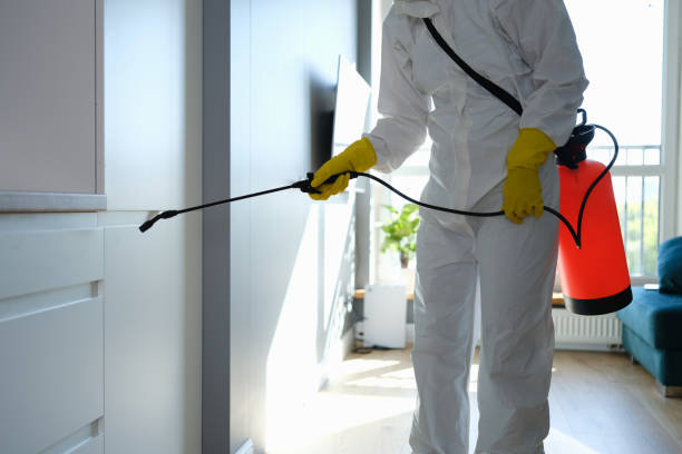 Best Water Damage Restoration  in Sandwich, IL