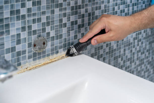 Best Best Mold Removal Companies  in Sandwich, IL
